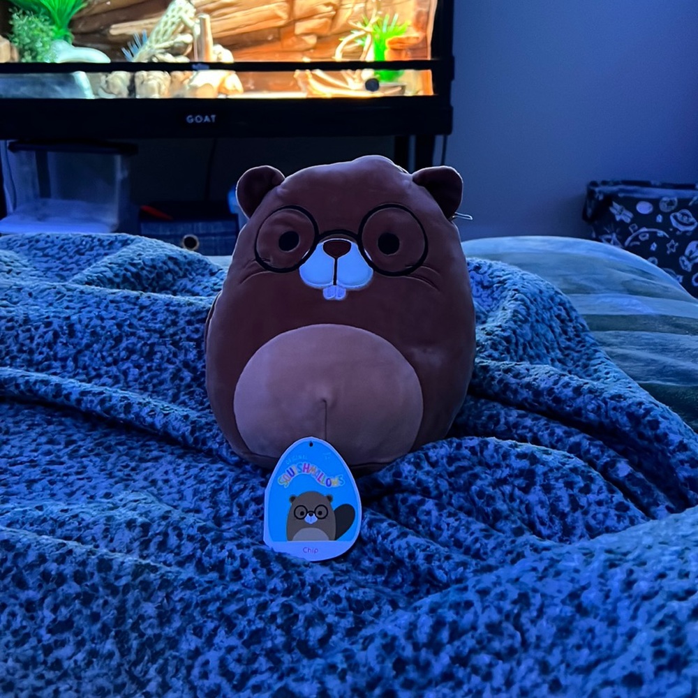 Chip Squishmallow!
